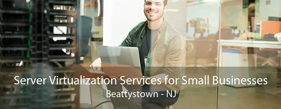 Server Virtualization Services for Small Businesses Beattystown - NJ