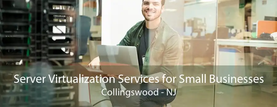 Server Virtualization Services for Small Businesses Collingswood - NJ