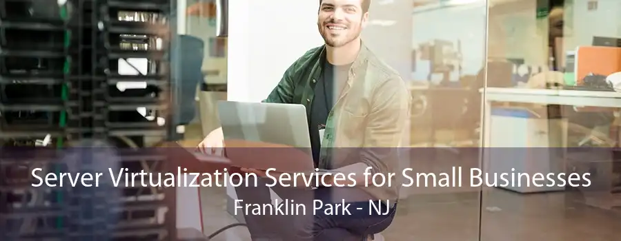 Server Virtualization Services for Small Businesses Franklin Park - NJ