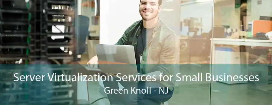 Server Virtualization Services for Small Businesses Green Knoll - NJ