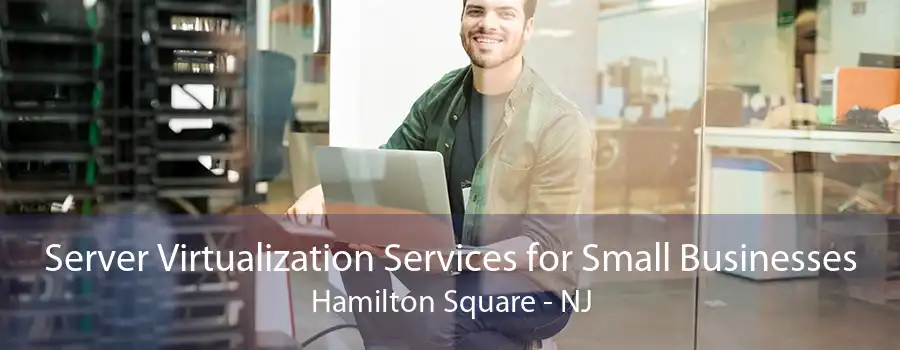 Server Virtualization Services for Small Businesses Hamilton Square - NJ