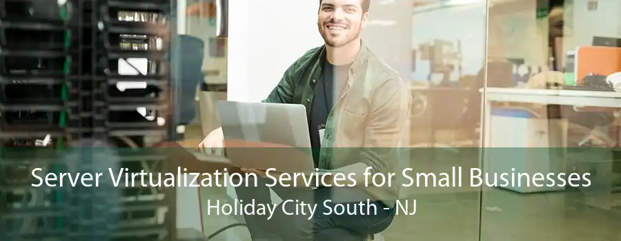 Server Virtualization Services for Small Businesses Holiday City South - NJ