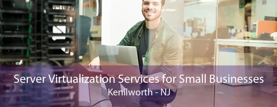 Server Virtualization Services for Small Businesses Kenilworth - NJ