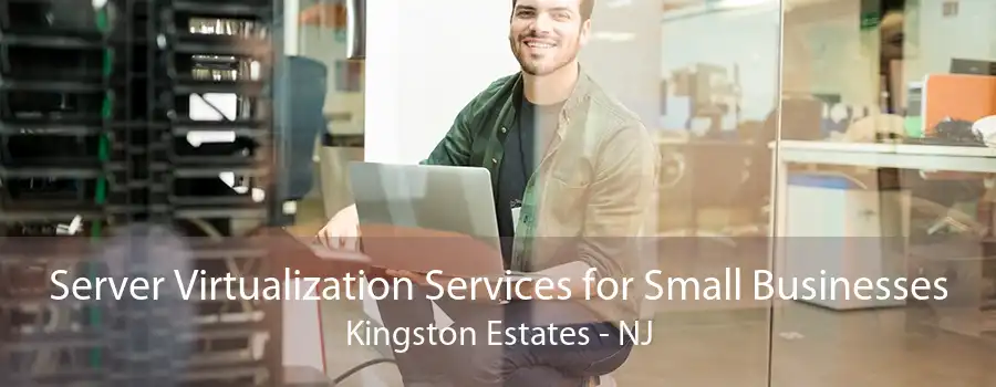 Server Virtualization Services for Small Businesses Kingston Estates - NJ