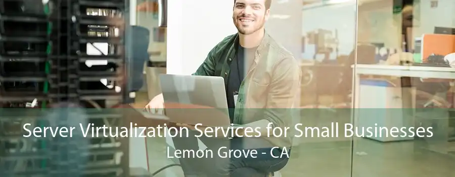 Server Virtualization Services for Small Businesses Lemon Grove - CA