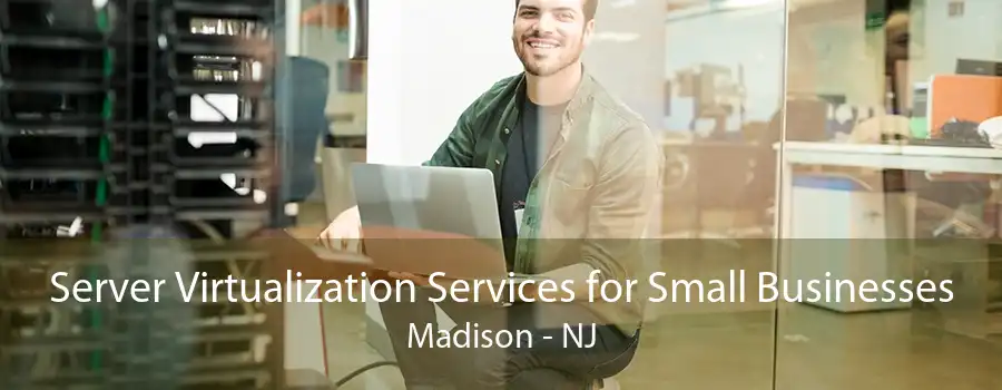 Server Virtualization Services for Small Businesses Madison - NJ