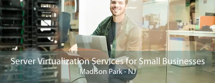 Server Virtualization Services for Small Businesses Madison Park - NJ