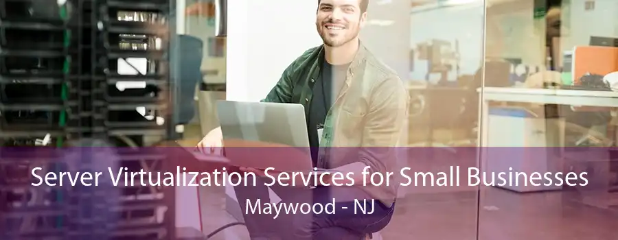 Server Virtualization Services for Small Businesses Maywood - NJ