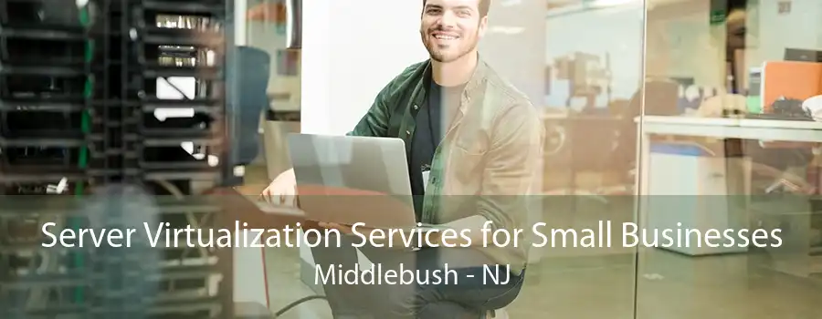 Server Virtualization Services for Small Businesses Middlebush - NJ