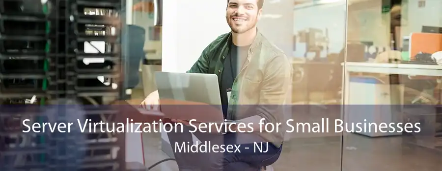 Server Virtualization Services for Small Businesses Middlesex - NJ