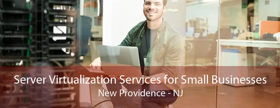 Server Virtualization Services for Small Businesses New Providence - NJ