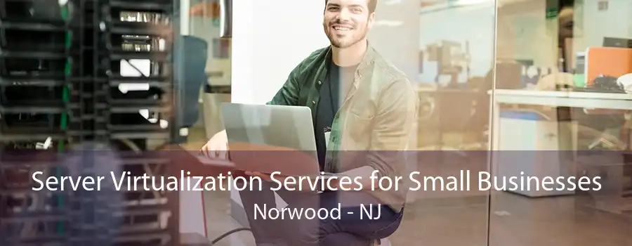 Server Virtualization Services for Small Businesses Norwood - NJ