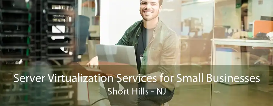 Server Virtualization Services for Small Businesses Short Hills - NJ