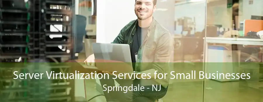 Server Virtualization Services for Small Businesses Springdale - NJ