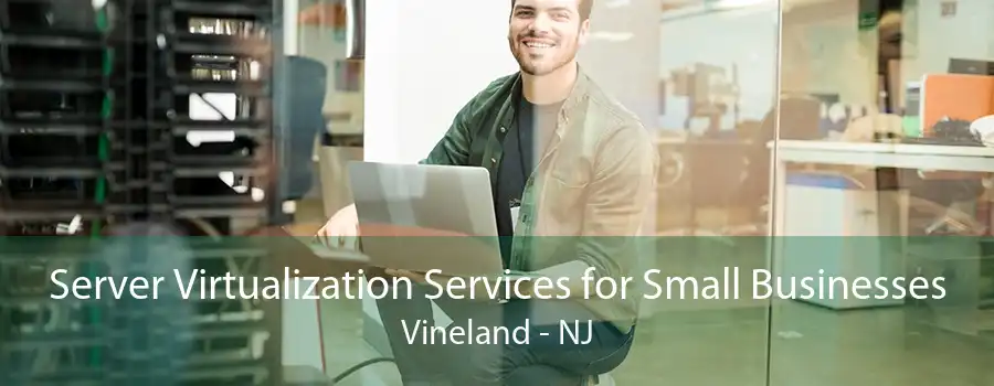 Server Virtualization Services for Small Businesses Vineland - NJ