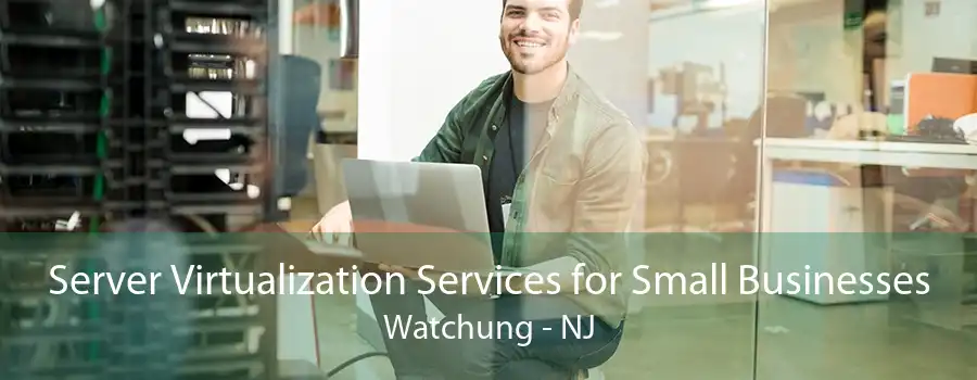 Server Virtualization Services for Small Businesses Watchung - NJ