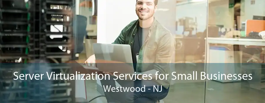 Server Virtualization Services for Small Businesses Westwood - NJ