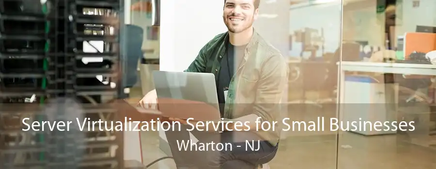 Server Virtualization Services for Small Businesses Wharton - NJ