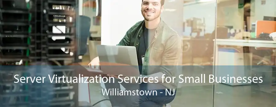 Server Virtualization Services for Small Businesses Williamstown - NJ