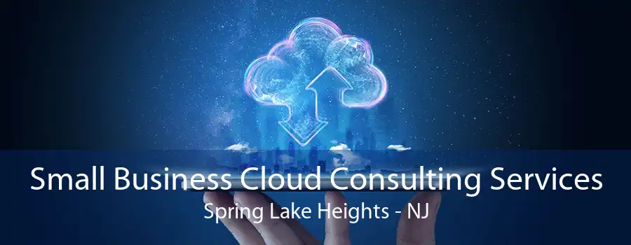 Small Business Cloud Consulting Services Spring Lake Heights - NJ