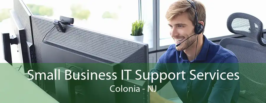 Small Business IT Support Services Colonia - NJ
