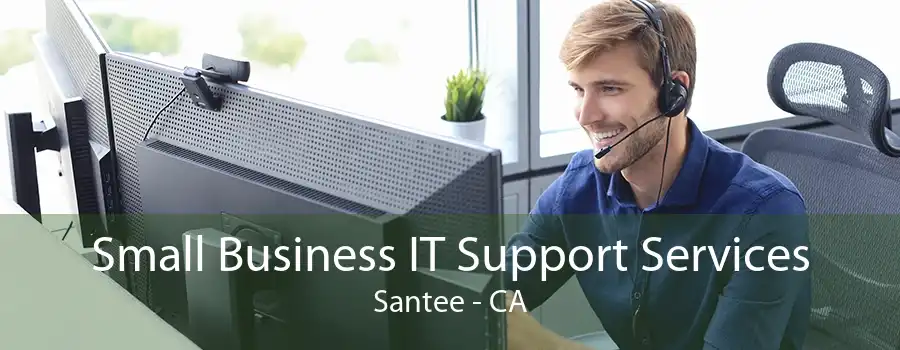 Small Business IT Support Services Santee - CA