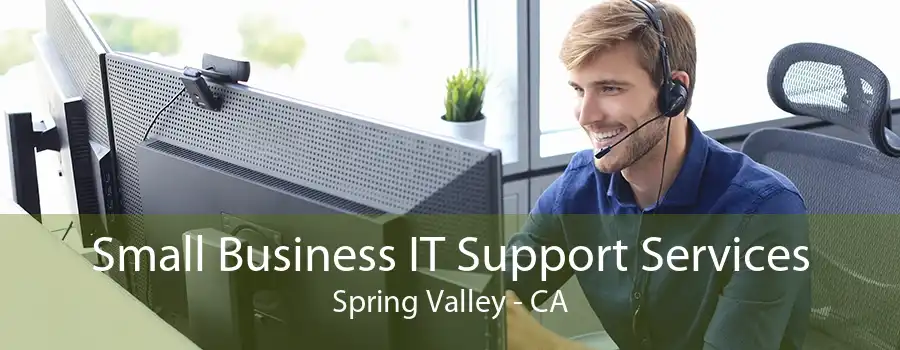 Small Business IT Support Services Spring Valley - CA