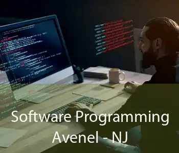 Software Programming Avenel - NJ