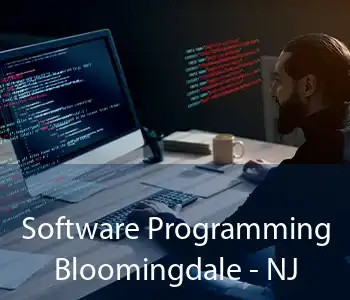 Software Programming Bloomingdale - NJ