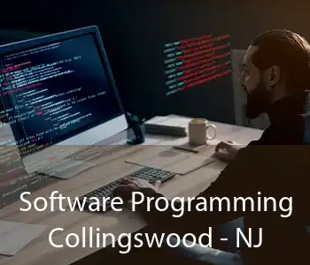 Software Programming Collingswood - NJ