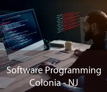Software Programming Colonia - NJ