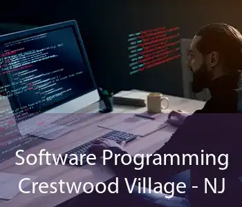 Software Programming Crestwood Village - NJ