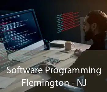 Software Programming Flemington - NJ