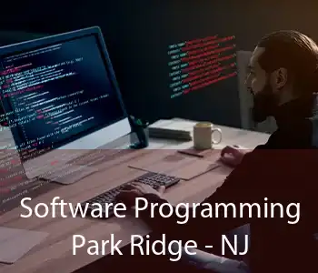 Software Programming Park Ridge - NJ