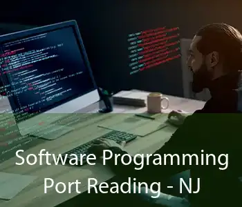 Software Programming Port Reading - NJ