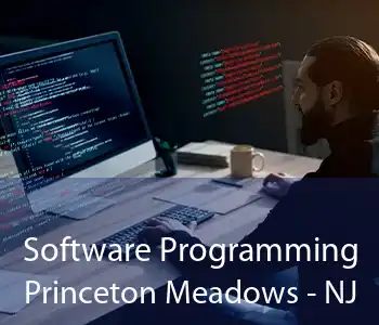 Software Programming Princeton Meadows - NJ