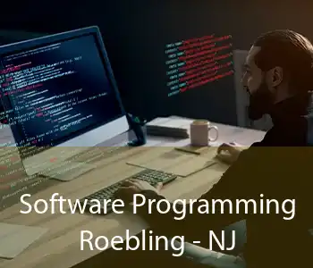 Software Programming Roebling - NJ