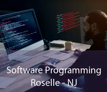 Software Programming Roselle - NJ