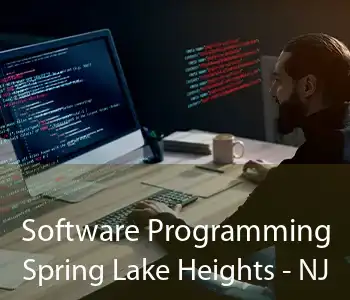 Software Programming Spring Lake Heights - NJ
