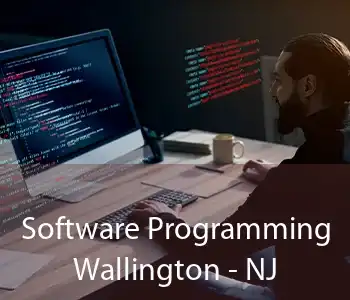 Software Programming Wallington - NJ