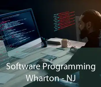 Software Programming Wharton - NJ