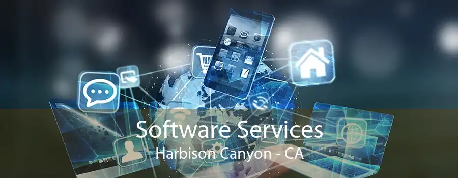 Software Services Harbison Canyon - CA