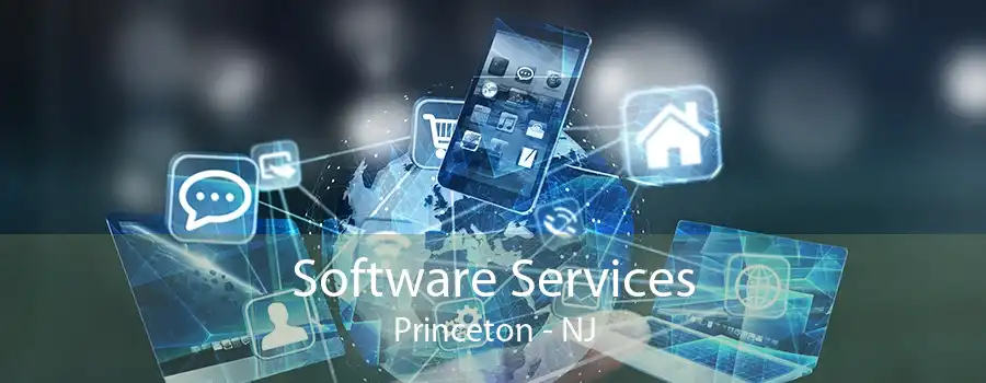 Software Services Princeton - NJ