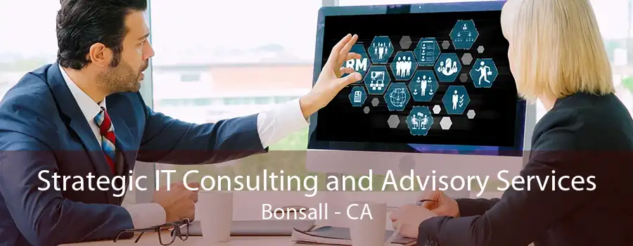 Strategic IT Consulting and Advisory Services Bonsall - CA