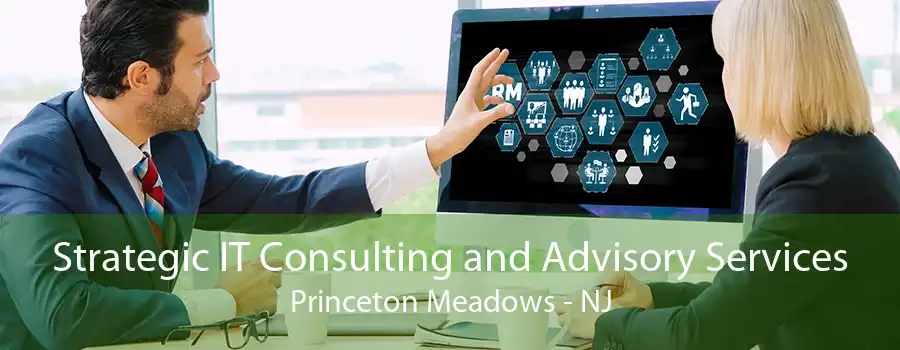 Strategic IT Consulting and Advisory Services Princeton Meadows - NJ