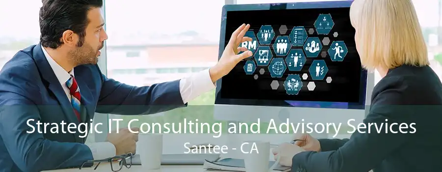 Strategic IT Consulting and Advisory Services Santee - CA