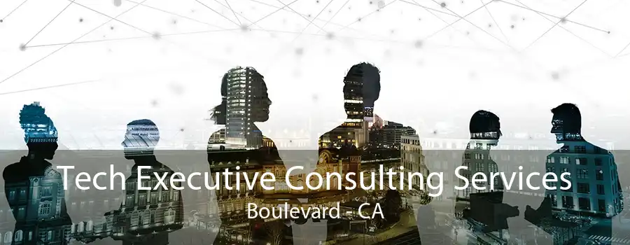 Tech Executive Consulting Services Boulevard - CA