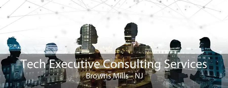 Tech Executive Consulting Services Browns Mills - NJ