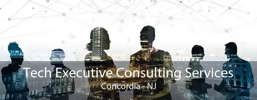 Tech Executive Consulting Services Concordia - NJ