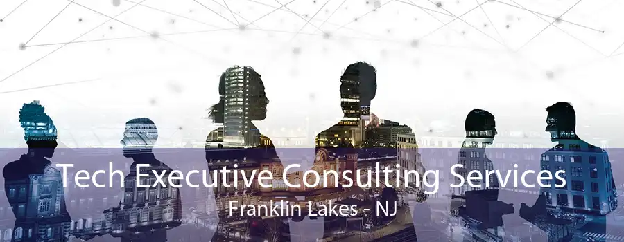 Tech Executive Consulting Services Franklin Lakes - NJ